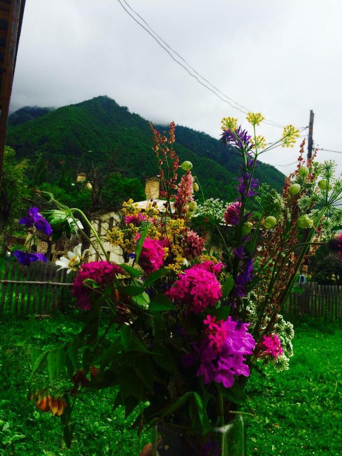 Manana Japaridze'S Guesthouse Mestia Bagian luar foto